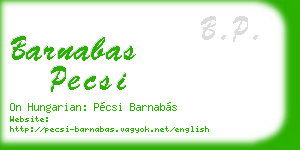 barnabas pecsi business card