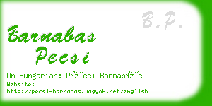 barnabas pecsi business card